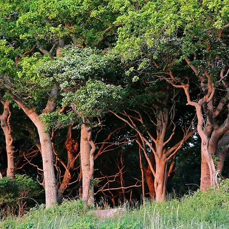 בית נופש Luxury Pool In Lohals - By Traum