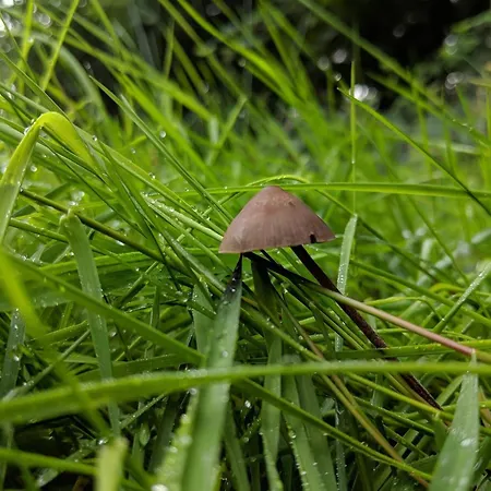 Luxury Pool In Lohals - By Traum Ferienhaus