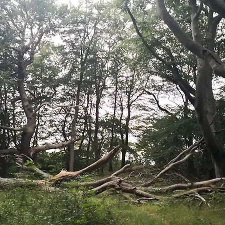 Luxury Pool In Lohals - By Traum Ferienhaus Hou (Syddanmark)