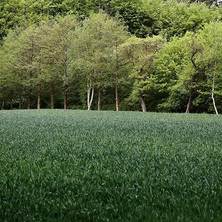 Luxury Pool In Lohals - By Traum Hou (Syddanmark)