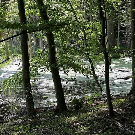 Luxury Pool In Lohals - By Traum בית נופש