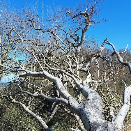 Ferienhaus Luxury Pool In Lohals - By Traum Hou (Syddanmark)
