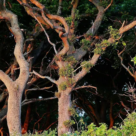 Luxury Pool In Lohals - By Traum Hou (Syddanmark)