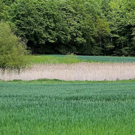 Ferienhaus Luxury Pool In Lohals - By Traum
