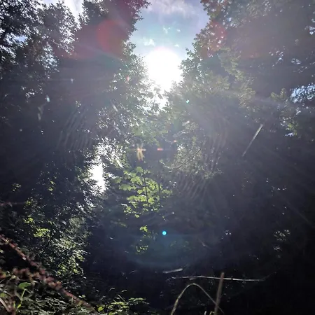 4 Star In Tranekaer Hou (Syddanmark)