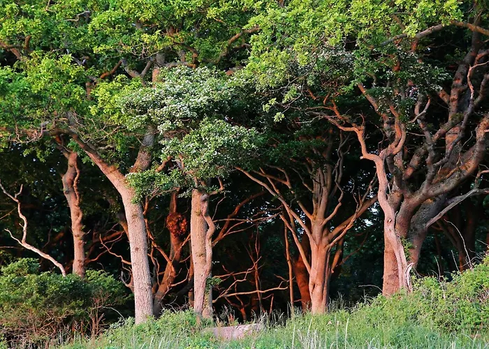 Feriehus Luxury Pool In Lohals - By Traum