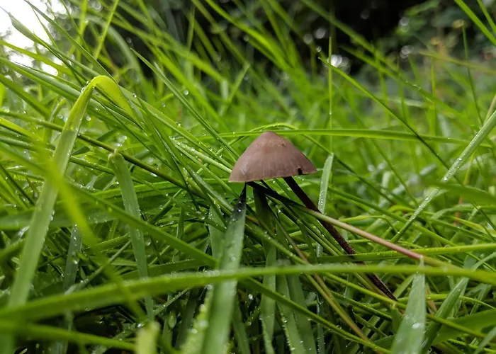 Luxury Pool In Lohals - By Traum Feriehus