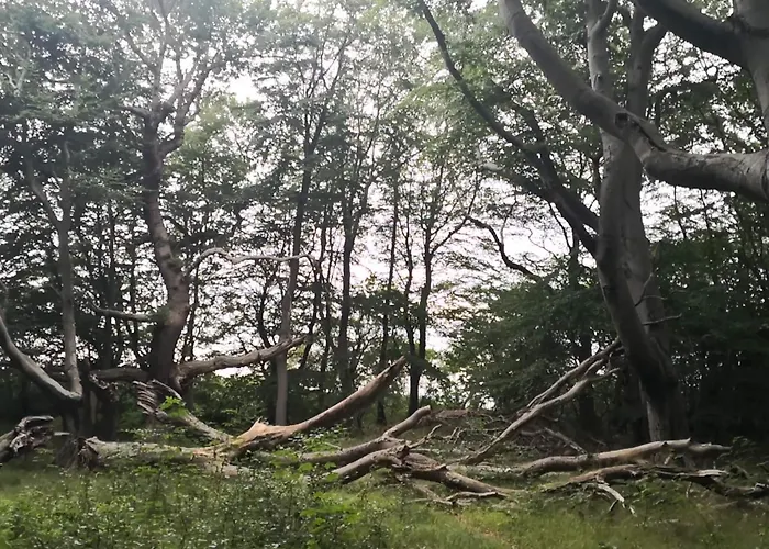 Luxury Pool In Lohals - By Traum בית נופש Hou (Syddanmark)