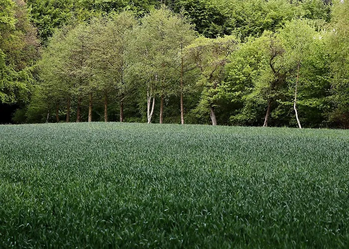 Luxury Pool In Lohals - By Traum Hou (Syddanmark)