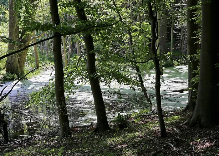 Luxury Pool In Lohals - By Traum Feriehus