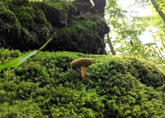 בית נופש Luxury Pool In Lohals - By Traum