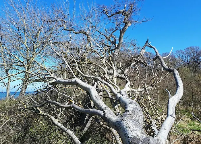 Feriehus Luxury Pool In Lohals - By Traum Hou (Syddanmark)