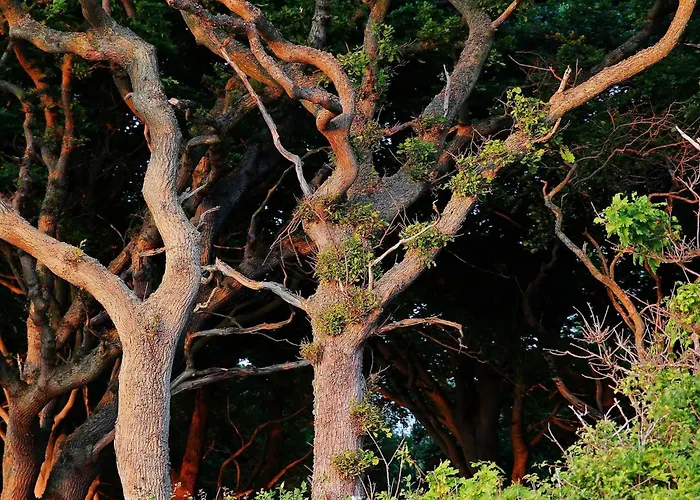 Luxury Pool In Lohals - By Traum Hou (Syddanmark)