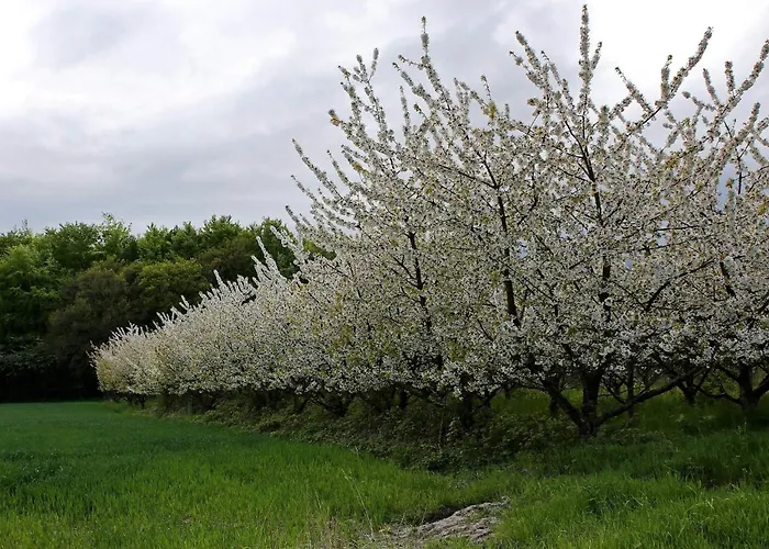 Luxury Pool In Lohals - By Traum