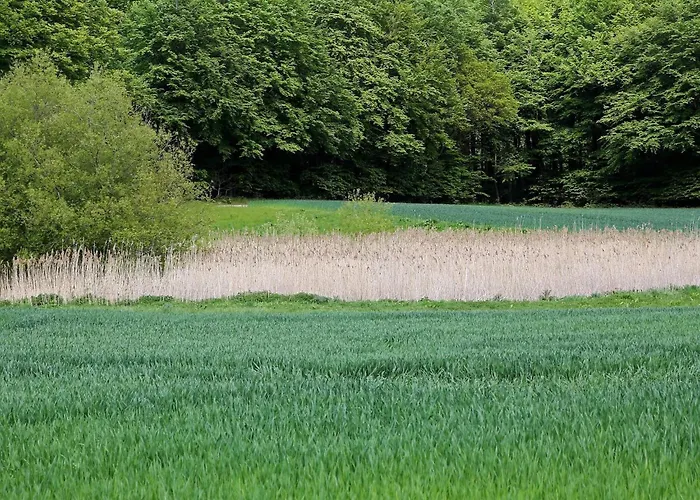 Feriehus Luxury Pool In Lohals - By Traum